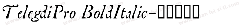 TelegdiPro BoldItalic字体转换